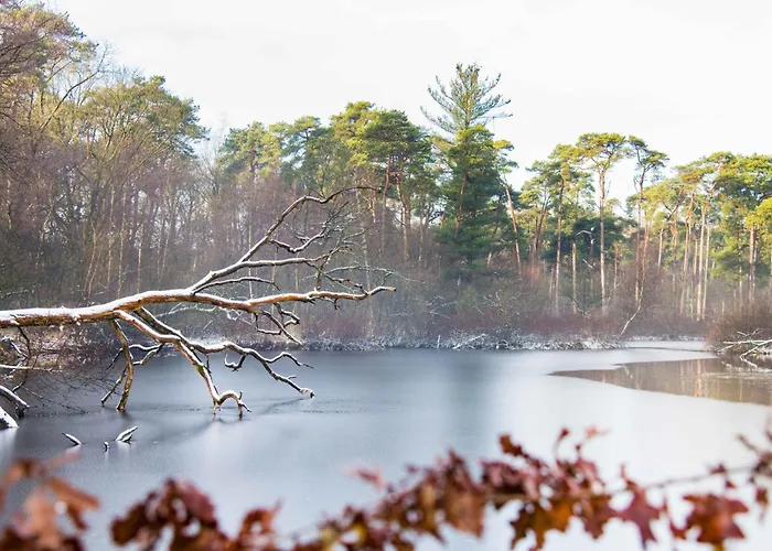 Private Design W Garden & Parking * Αϊντχόφεν